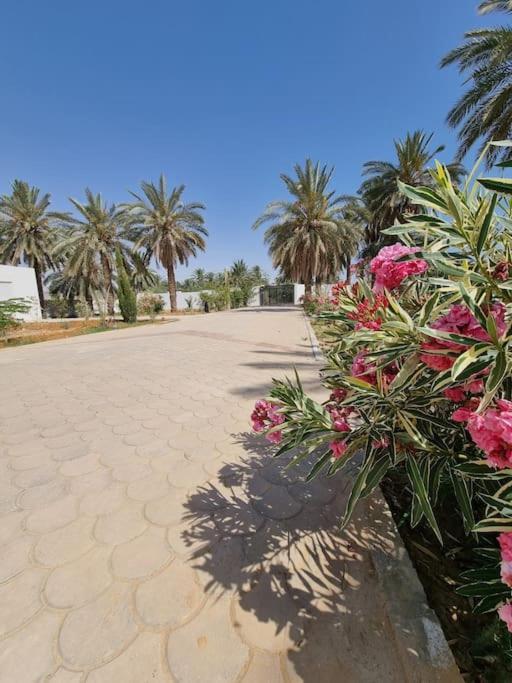 Dar Jamila - Au Coeur De L'Oasis - Villa Gabès Exteriör bild